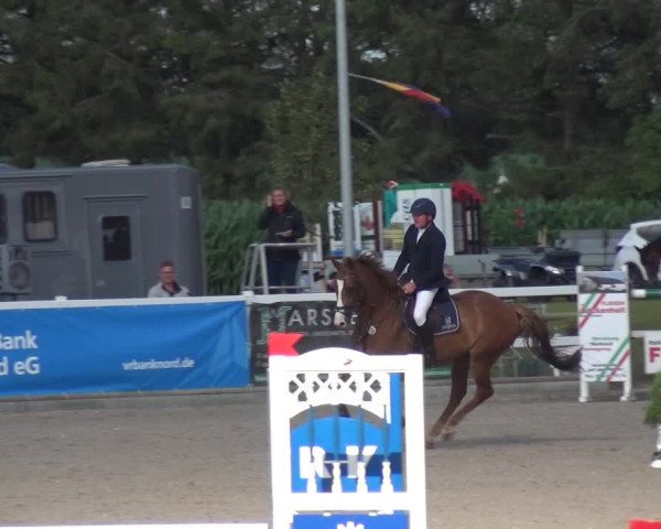 Reitturnier Ladelund 2020