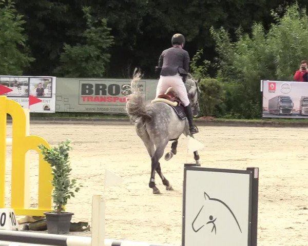 Reitturnier Schnarup-Thumby 2020