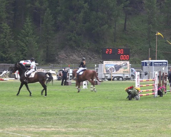 Reitturnier St. Moritz 2020