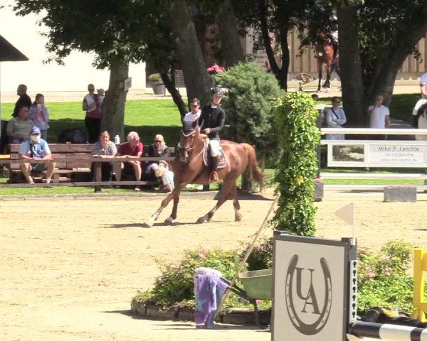 Reitturnier Schnarup-Thumby 2020