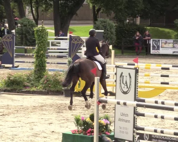 Reitturnier Schnarup-Thumby 2020