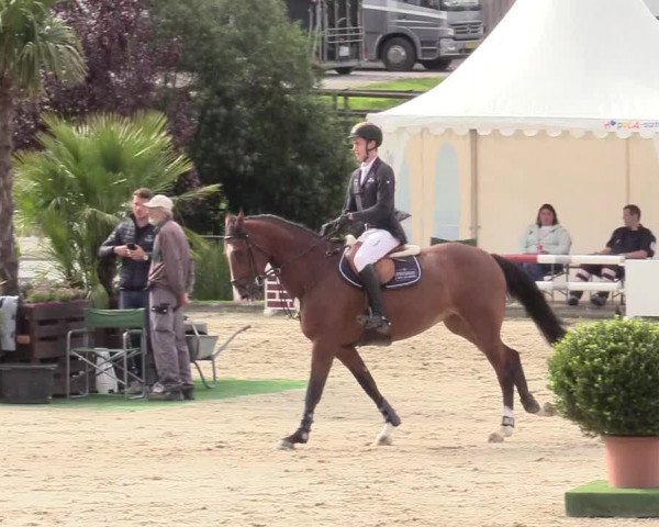 Reitturnier Schnarup-Thumby 2020