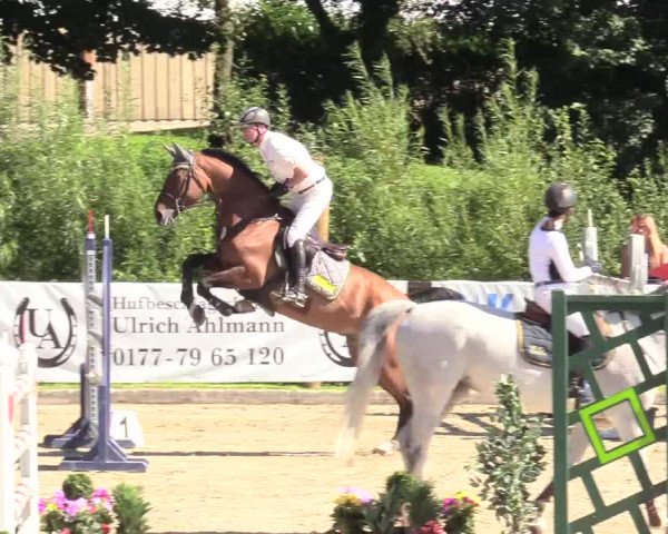 Reitturnier Schnarup-Thumby 2020