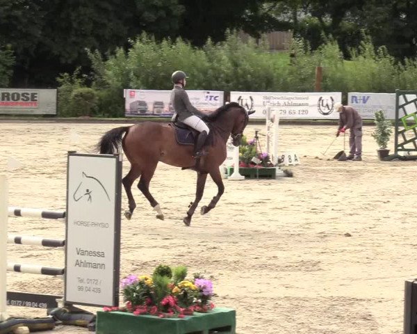 Reitturnier Schnarup-Thumby 2020