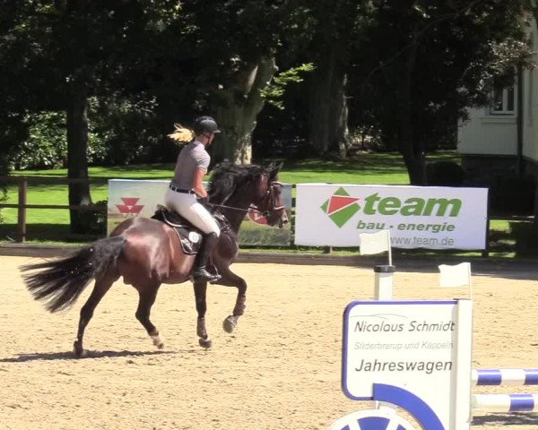 Reitturnier Schnarup-Thumby 2020