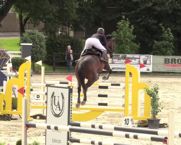 Reitturnier Schnarup-Thumby 2020