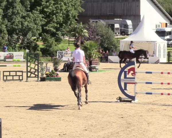 Reitturnier Schnarup-Thumby 2020