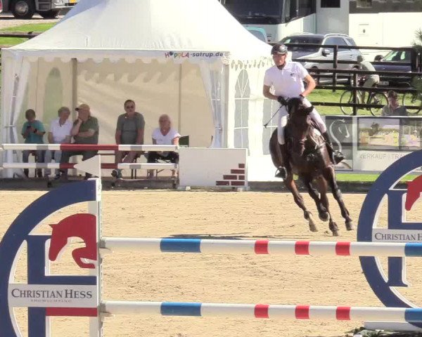 Reitturnier Schnarup-Thumby 2020