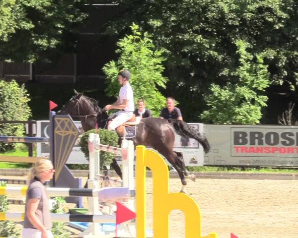 Reitturnier Schnarup-Thumby 2020