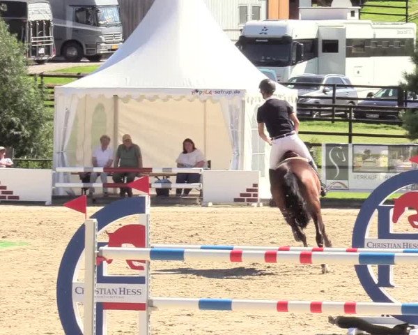 Reitturnier Schnarup-Thumby 2020