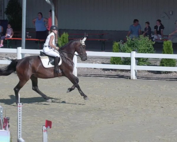 Reitturnier Leutkirch-Diepoldshofen 2020