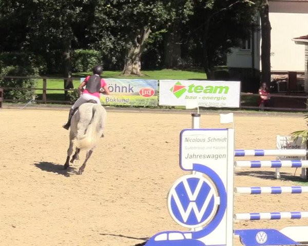 Reitturnier Schnarup-Thumby 2020