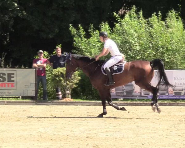 Reitturnier Schnarup-Thumby 2020