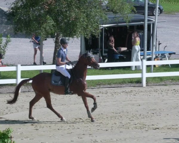 Reitturnier Leutkirch-Diepoldshofen 2020