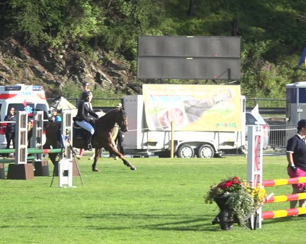 Reitturnier St. Moritz 2020