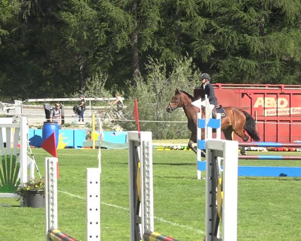Reitturnier St. Moritz 2020