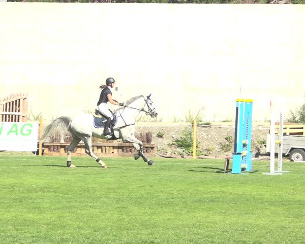 Reitturnier St. Moritz 2020