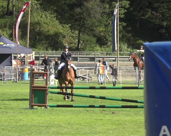 Reitturnier St. Moritz 2020
