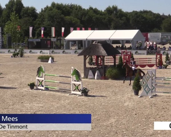 Jeugdfestival Lier 2020
