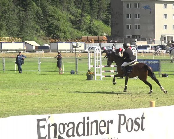 Reitturnier St. Moritz 2020