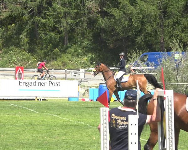 Reitturnier St. Moritz 2020