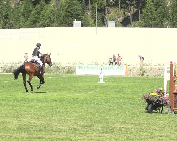 Reitturnier St. Moritz 2020