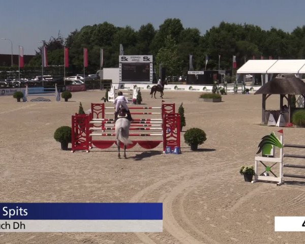 Jeugdfestival Lier 2020