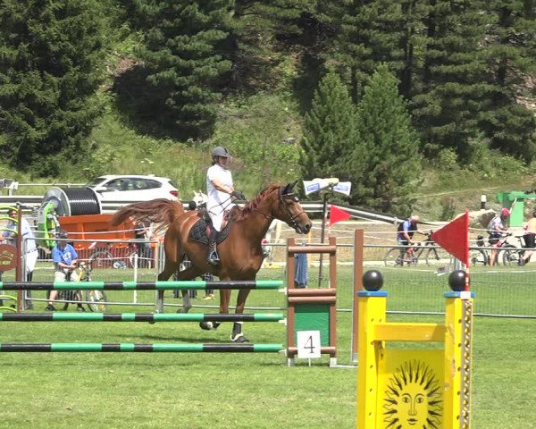 Reitturnier St. Moritz 2020