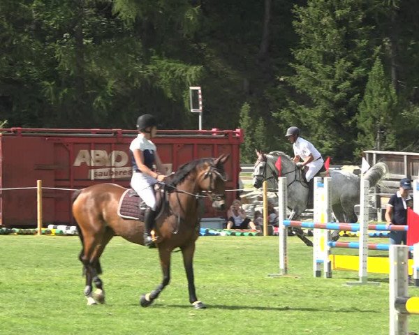 Reitturnier St. Moritz 2020