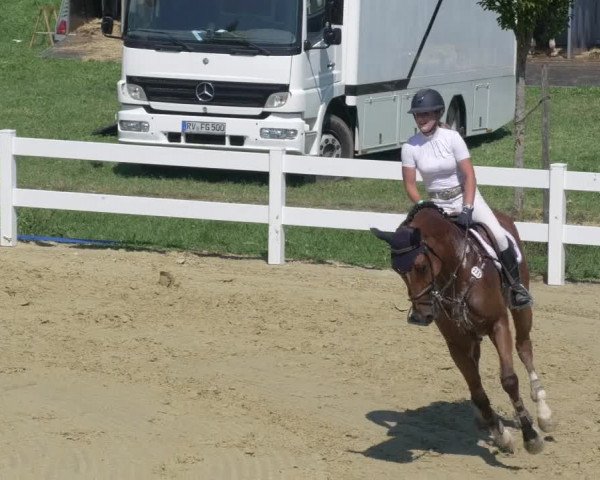 Reitturnier Leutkirch-Diepoldshofen 2020