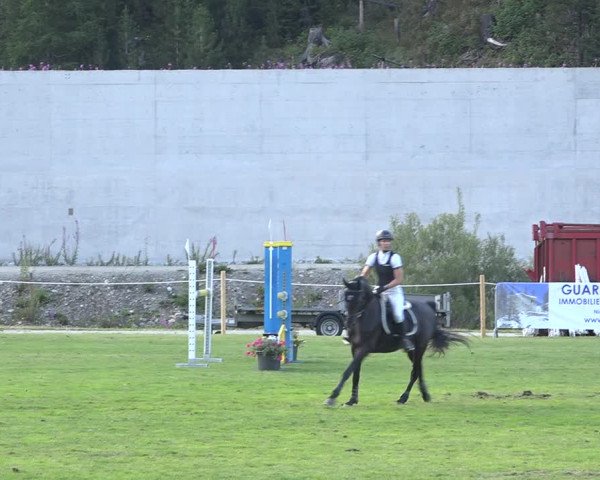Reitturnier St. Moritz 2020
