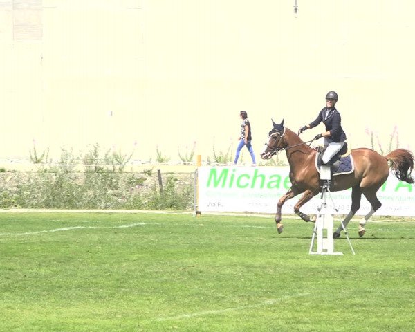Reitturnier St. Moritz 2020