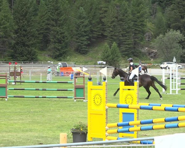 Reitturnier St. Moritz 2020