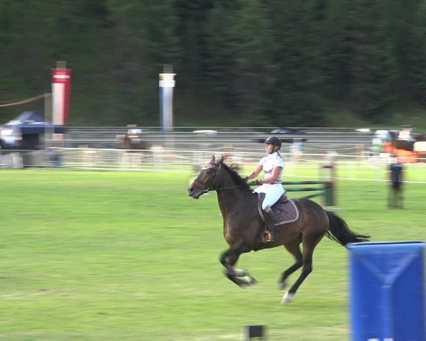 Reitturnier St. Moritz 2020
