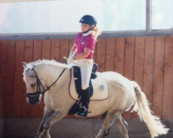 dressage horse Pinochio 16 (Welsh-Pony (Section B), 2007)