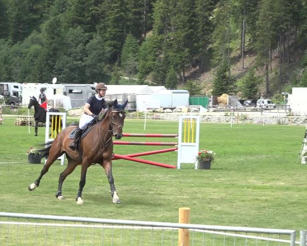 Reitturnier St. Moritz 2020