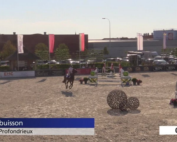Jeugdfestival Lier 2020