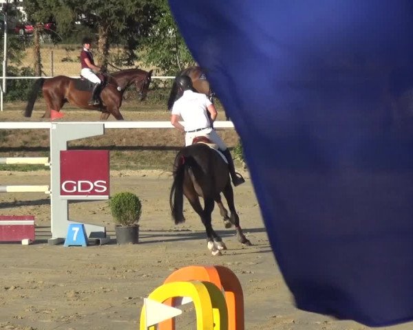 Reitturnier Bornheim-Widdig 2020