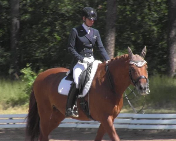 Reitturnier Wörmlitz 2020