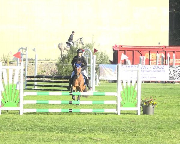 Reitturnier St. Moritz 2020