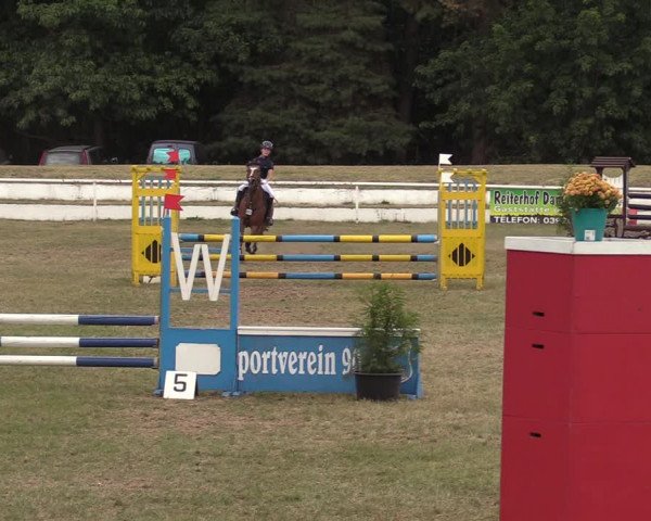 Reitturnier Wörmlitz 2020
