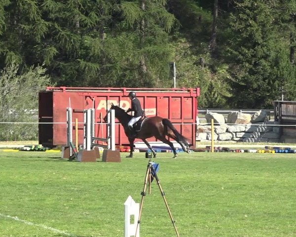Reitturnier St. Moritz 2020