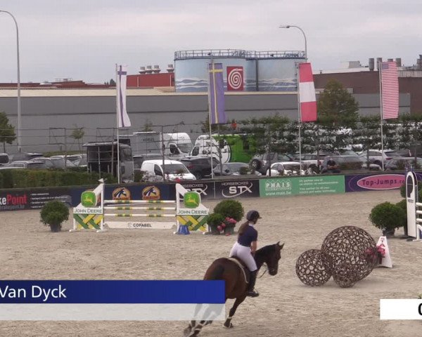Jeugdfestival Lier 2020