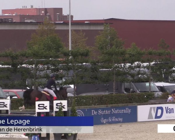 Jeugdfestival Lier 2020