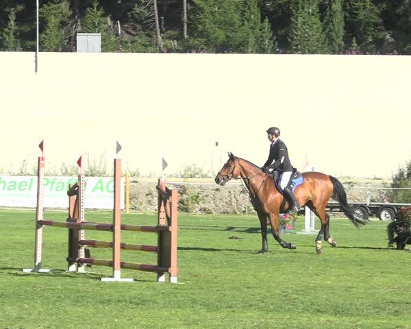 Reitturnier St. Moritz 2020