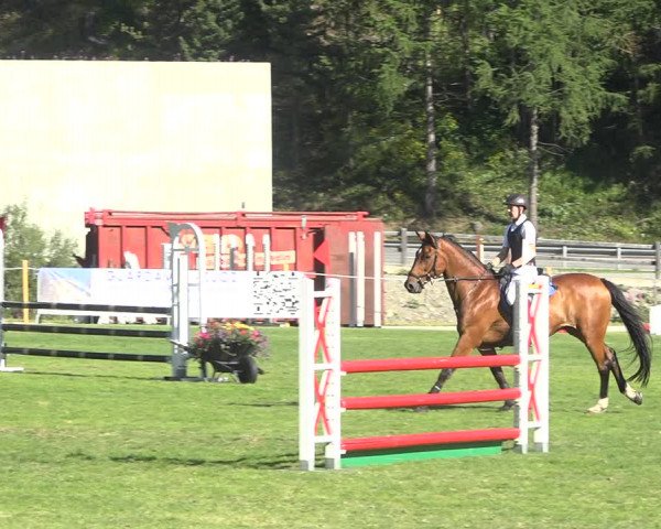 Reitturnier St. Moritz 2020