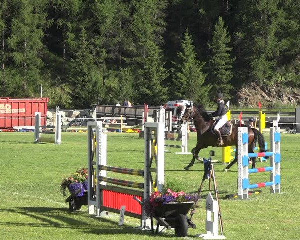 Reitturnier St. Moritz 2020