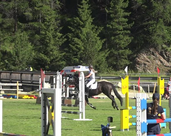 Reitturnier St. Moritz 2020