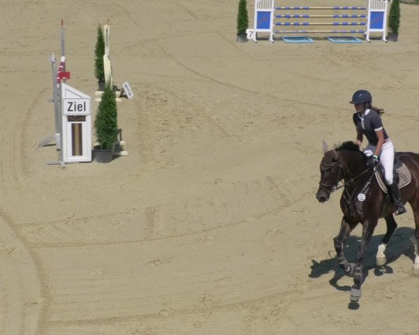 Reitturnier Leutkirch-Diepoldshofen 2020