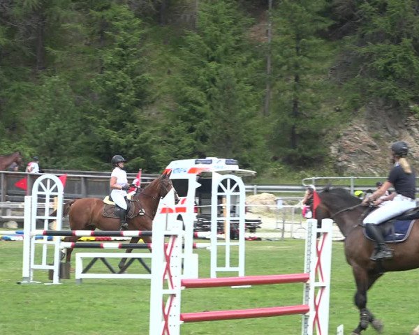 Reitturnier St. Moritz 2020